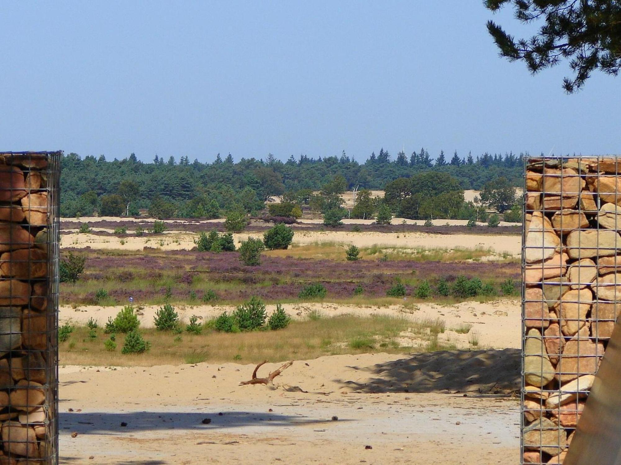 Chalet Near The Loonse And Drunense Duinen Udenhout المظهر الخارجي الصورة