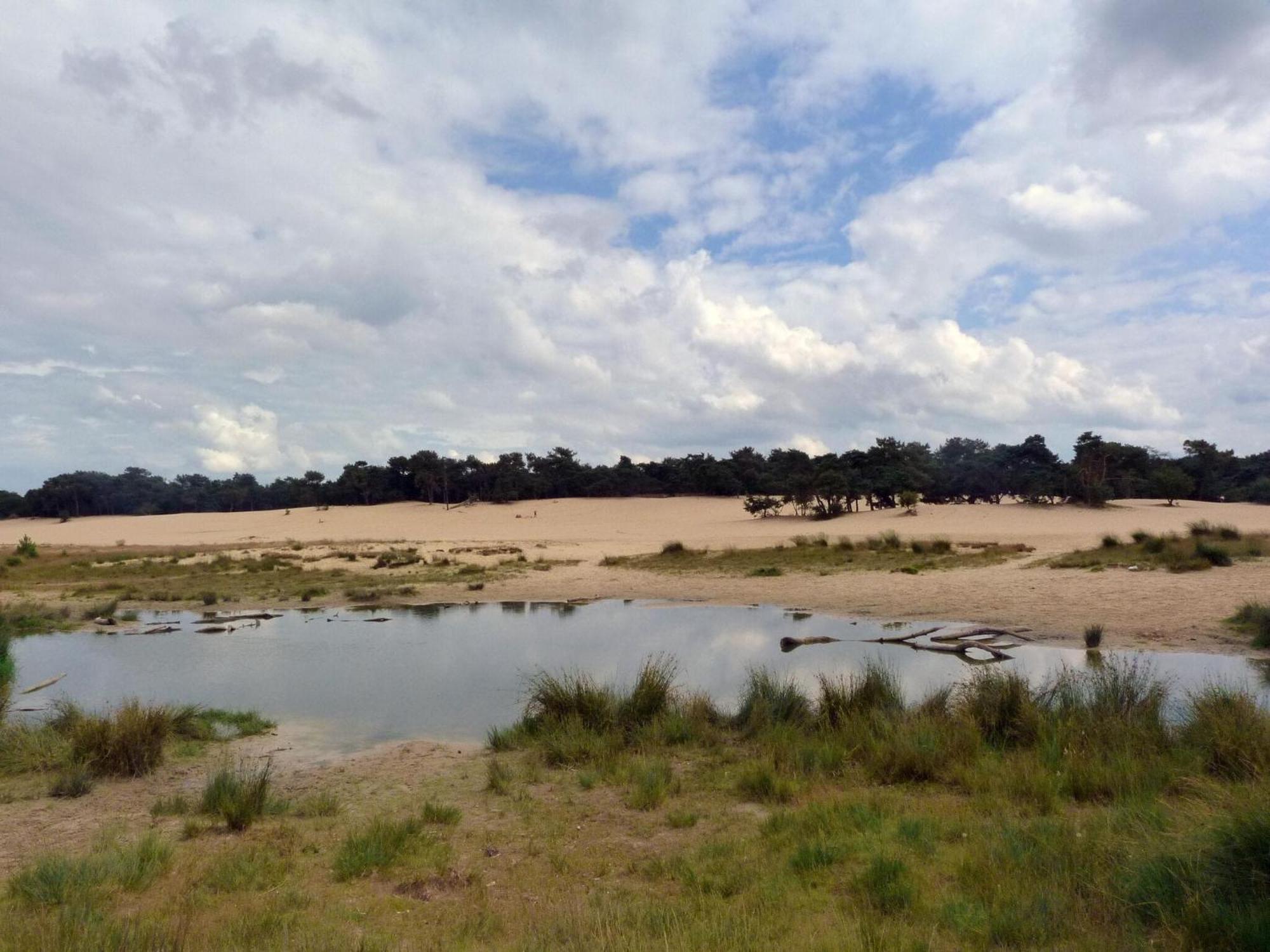 Chalet Near The Loonse And Drunense Duinen Udenhout المظهر الخارجي الصورة