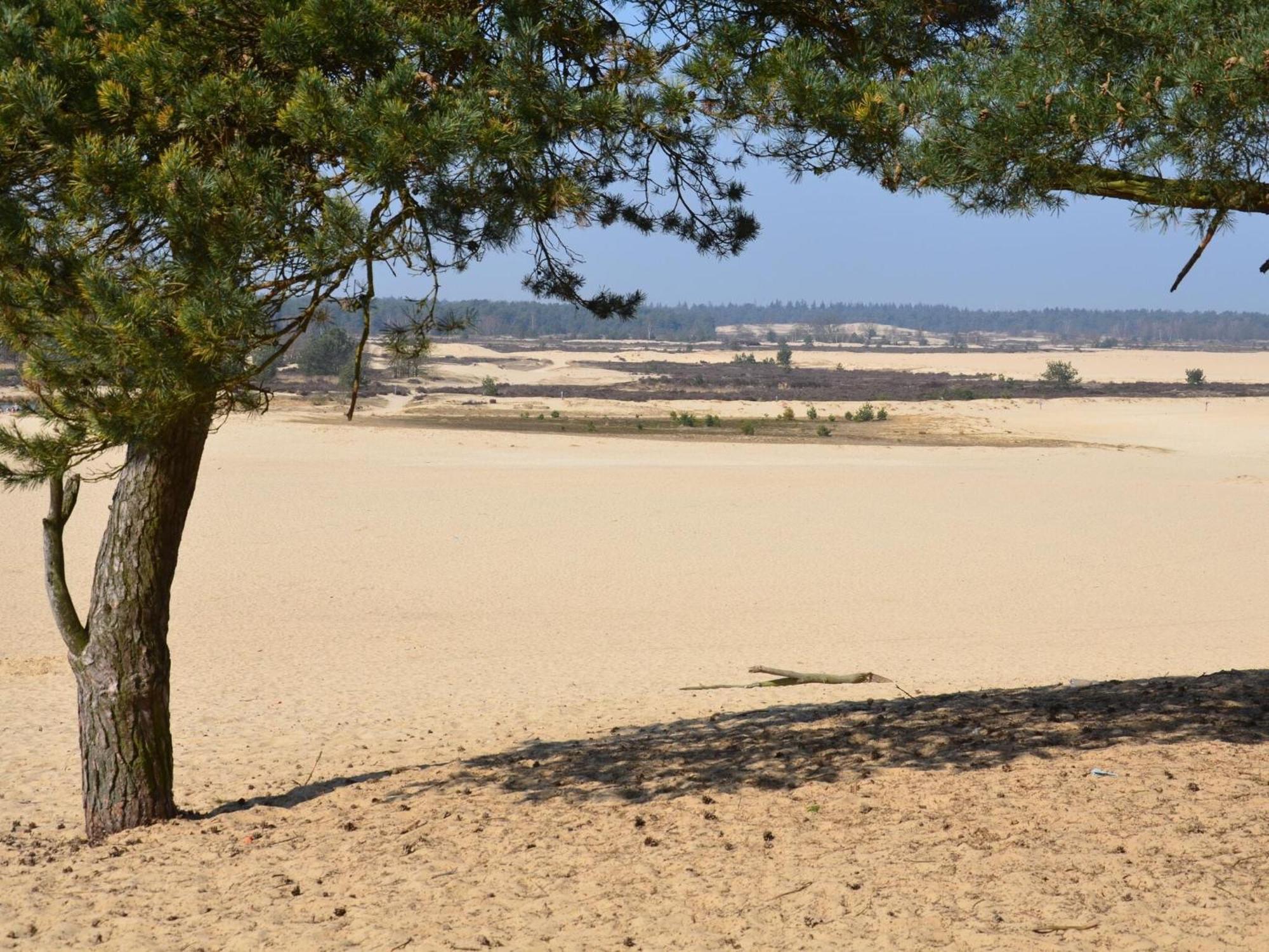 Chalet Near The Loonse And Drunense Duinen Udenhout المظهر الخارجي الصورة
